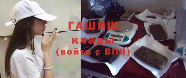 молекула духа Новозыбков