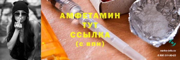 молекула духа Новозыбков