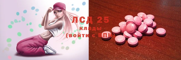 PSILOCYBIN Новокубанск