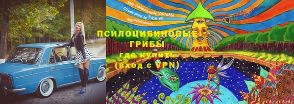 PSILOCYBIN Новокубанск