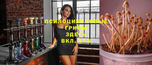 скорость Новодвинск