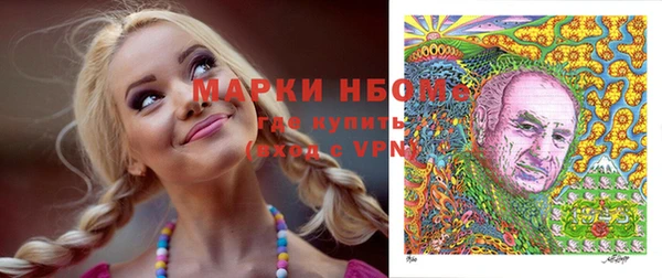 молекула духа Новозыбков