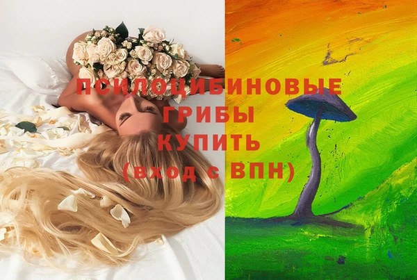 молекула духа Новозыбков