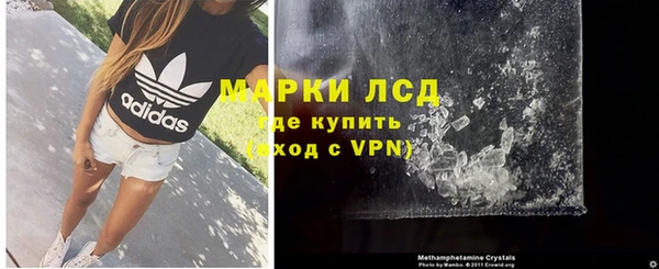 молекула духа Новозыбков