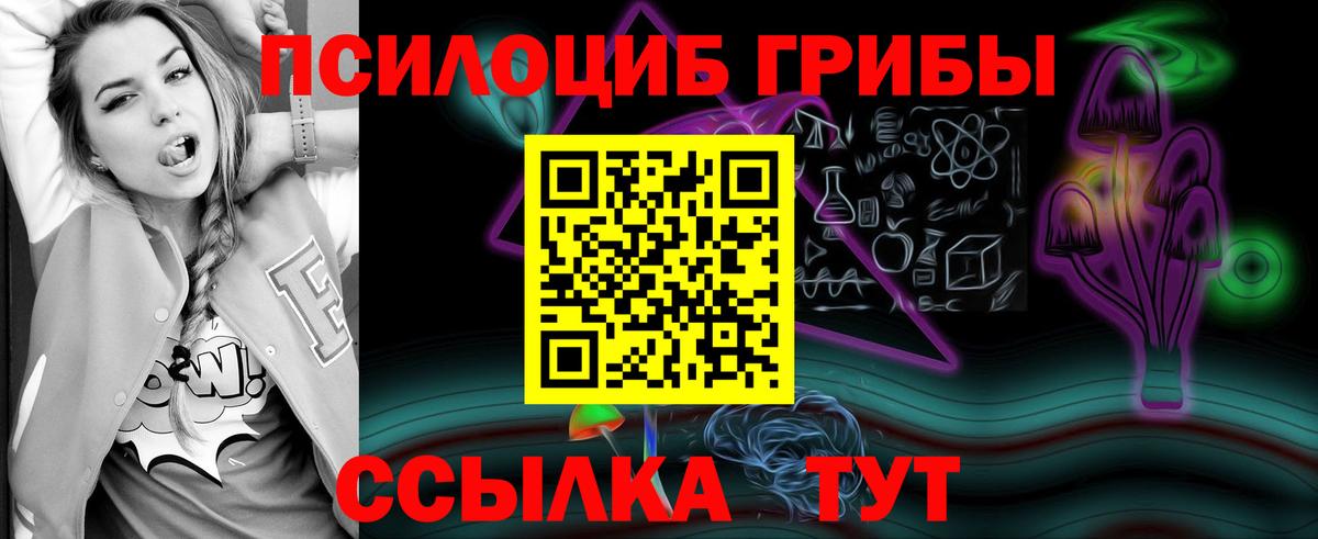 Псилоцибиновые грибы MAGIC MUSHROOMS  Вход с VPN  Каменск-Уральский 